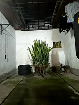 oliver price1 online show from November 14, 11:06 pm