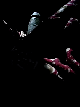 Kolkata   Boy online show from September 28, 5:22 pm